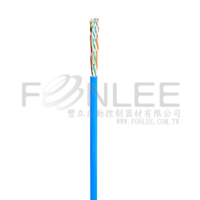 RJ-45網路線FTP CAT6 鋁箔隔離 305M/丸