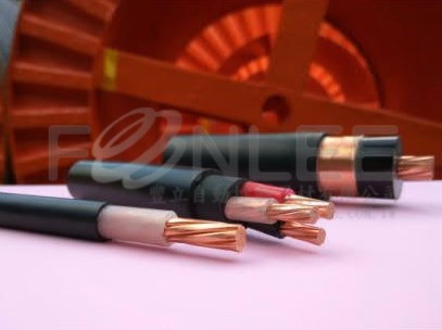 華新-25KV PEX電纜 80*1C