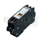 國際<節能RY> WRZ6166-809 2P 220V/10A